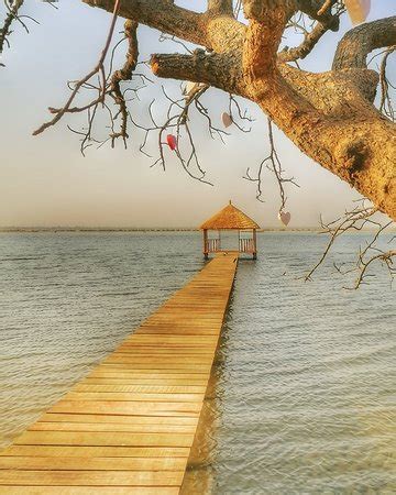 Senegal Raggi di Sole (Dakar) - 2021 What to Know Before You Go (with ...