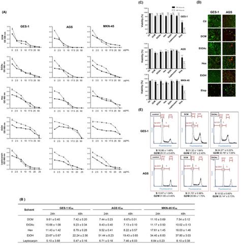 Antitumoral Activity of Leptocarpha rivularis Flower Extracts against ...