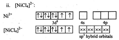 The number of diamagnetic species among the following is [ Ni ( CO )4 ...