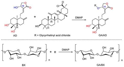 Synthetic Modifications of Andrographolide Targeting New Potential ...