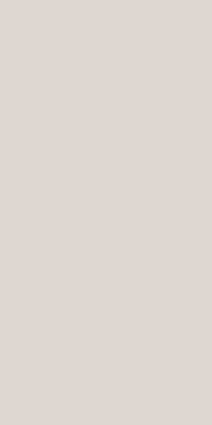 Shop Super Matte finish SMT 241 Shaker Beige Decorative Laminate ...