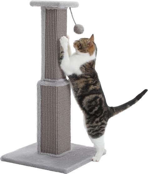 Amazon.com : PAWZ Road 32" Cats Ultimate Scratching Post-Gray : Pet ...