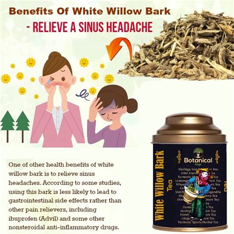 White Willow Bark Tea | Relieves Headache | Selected | Luxury Tea ...