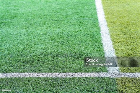 Sports field Background 的图像结果