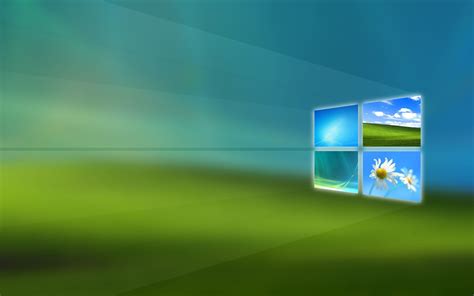 Evolution Computer Windows 的图像结果