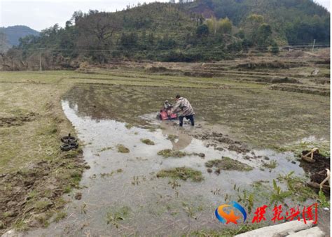 【乡镇动态】古龙岗镇全力备战春耕生产_模范兴国