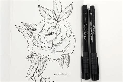 Sample Drawing 的图像结果