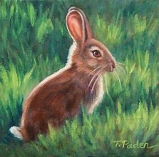 Image result for Bunny Rabbit Paintings