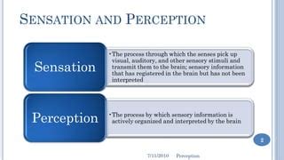 Image result for Understanding Perception