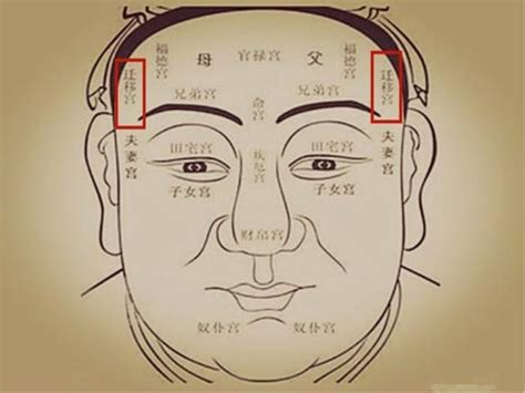 看看自己是坐十二命宫哪一宫 - 知乎