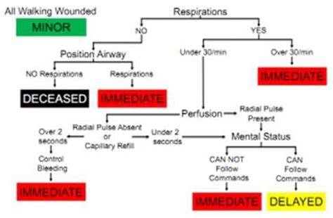 Start Triage Algorithm 的图像结果