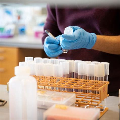 Molecular Genetics Lab 的图像结果