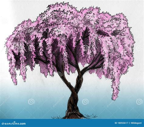 How To Draw A Cherry Blossom Tree In Pencil