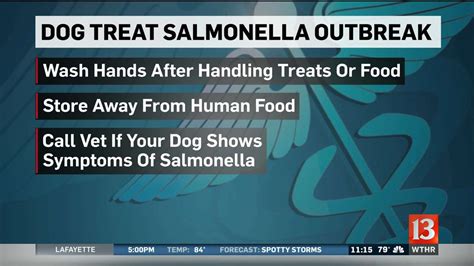 How Is Salmonella Treated In Dogs