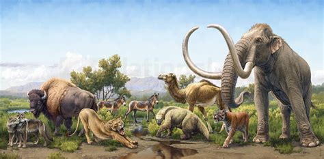 North American Pleistocene Animals