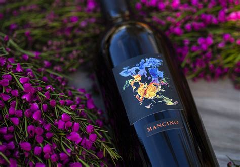 Whitehall Lane Winery - Whitehall Lane Winery