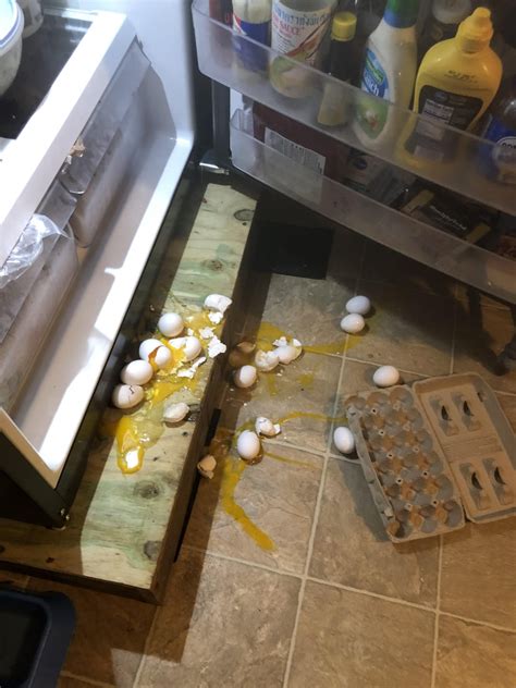 13 out of 14 cracked/busted : r/Wellthatsucks