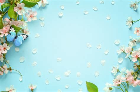 Java and Spring Background Images 的图像结果