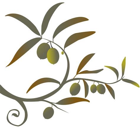 Free Olive Branch Clipart, Download Free Olive Branch Clipart png ...