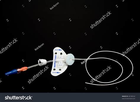 Peripherally Inserted Central Catheter Picc Line Stock Photo 28198162 | Shutterstock