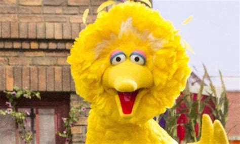 Why Was Big Bird Supposed To Be On The Challenger Shuttle?