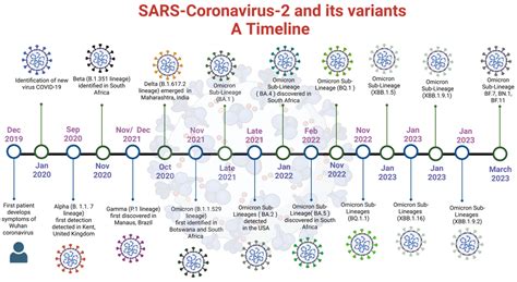 From Alpha to Omicron: How Different Variants of Concern of the SARS-Coronavirus-2 Impacted the ...