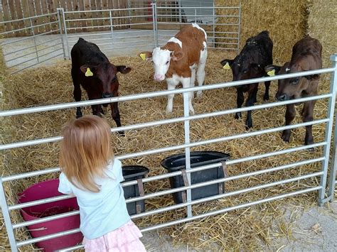 Minworth Tourism: All You Need to Know Before You Go (2026)