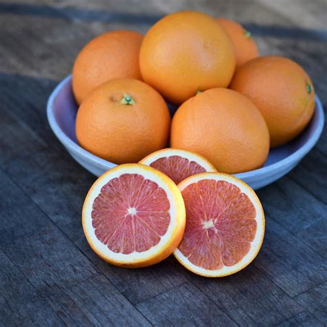 Organic Cara Cara Navel Oranges - Frog Hollow Farm