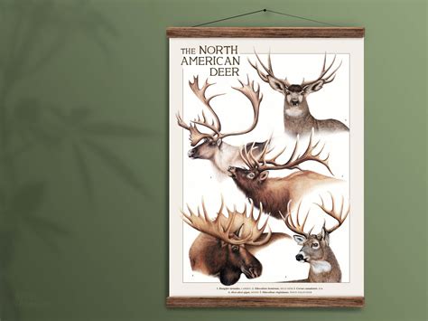 Image result for Alien Deer Poster