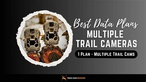 Best Multiple Cellular Trail Cameras on One Data Plan in 2024