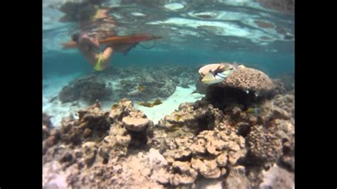 Image result for Fastapi Python Use Example
