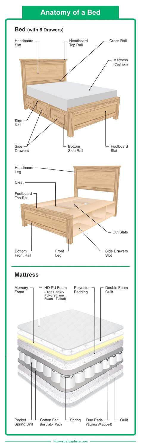 60 Different Types of Beds in 2023 (Styles, Sizes, Frames, and Designs)