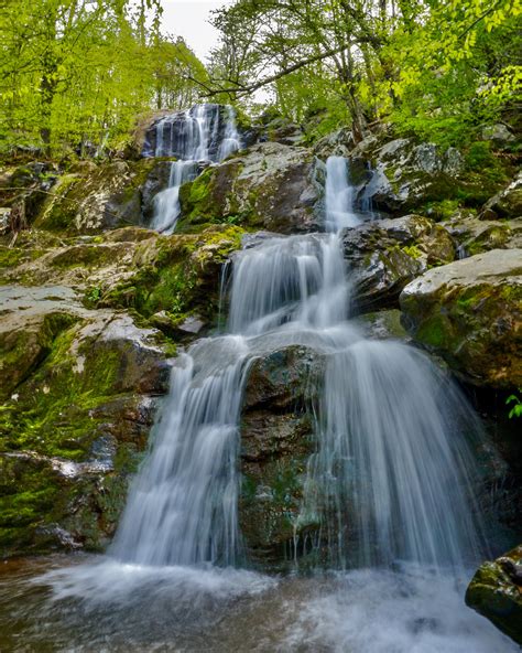 Hike to Dark Hollow Falls in Shenandoah National Park | Gulf Coast Poet