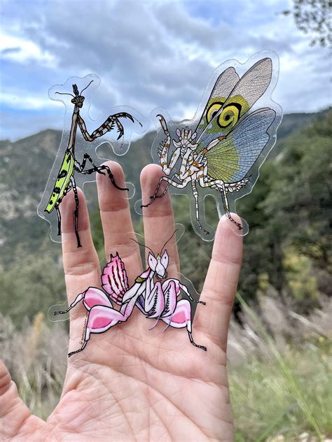 Mantis Trio Sticker Pack - Etsy | How to draw hands, Paint brush art, Orchid mantis