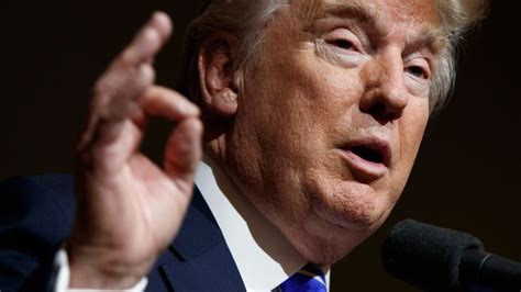 How one company has thrived while defying Trump’s policies | CNN Business