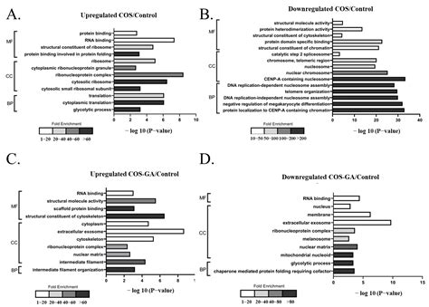 Proteome Analysis of the Antiproliferative Activity of the Novel ...