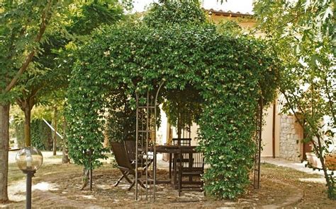 BORGO LE CINISCHIE (Collazzone) - Ranch Reviews & Photos - Tripadvisor