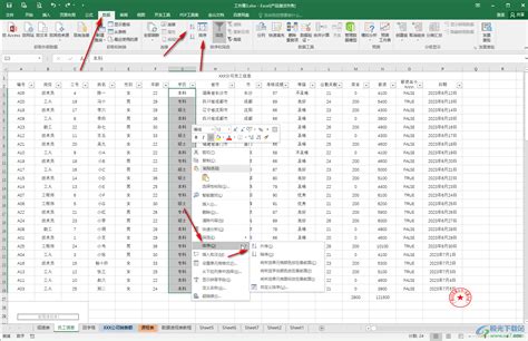 Excel怎么把相同的内容排在一起-Excel表格中将相同内容整理排列到一起的方法教程 - 极光下载站