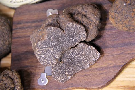 Fresh Black Truffles Truffles (Tuber Melanosporum) 2 OUNCES | taste-of-truffles