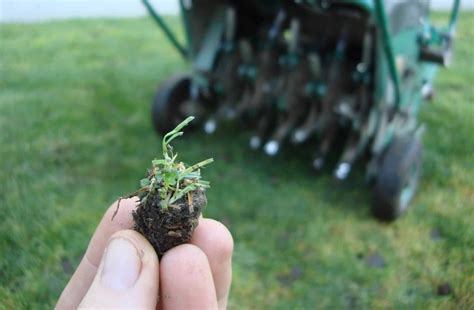 How Much Does TruGreen Cost? (2026) | Today's Homeowner