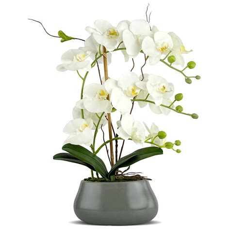 Buy LIVILAN Artificial OrchidÃ‚ FlowersÃ‚ LargeÃ‚ FakeÃ‚ WhiteÃ‚ Orchid ...