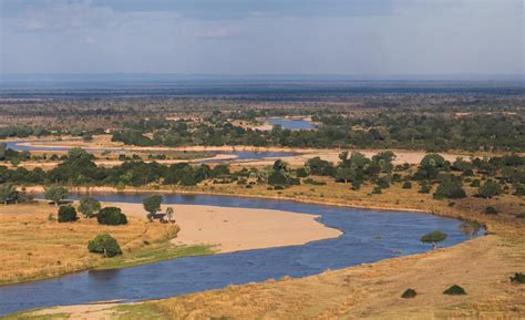 South Luangwa Walking Safari