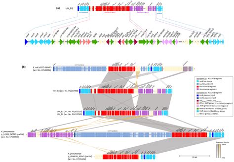 First Detection of High-Level Aminoglycoside-Resistant Klebsiella ...