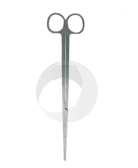 Stainless Steel Scissor Straight
