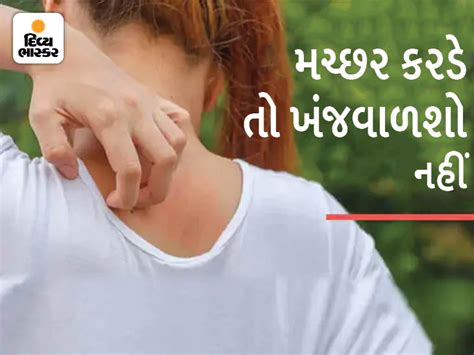 Mosquito bites can cause a disease called septic emboli, | હેલ્થ ટિપ્સ ...