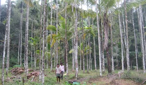 Kerala can learn a lot from a couple who turned their eight-acre ...