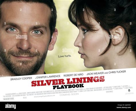 Silver Linings Playbook Book