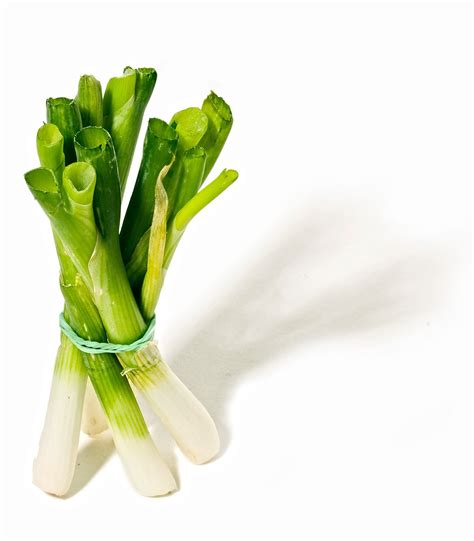 Can My Dog Eat Leeks? | The Rover Blog