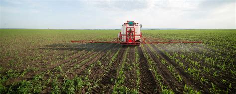 Studie zu Pflanzenschutz: Landwirte hatten bis zu 74 Mittel auf der ...