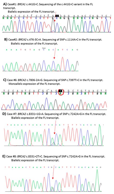 Usefulness and Limitations of Comprehensive Characterization of mRNA ...
